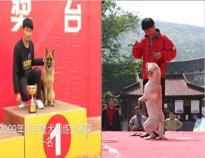 2009年南京警犬训练比塞荣获第一名